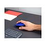 Logitech® Wireless Mouse M171 - EMEA -  BLUE