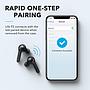 Anker Soundcore Life P2 Bluetooth Wireless Earphones
